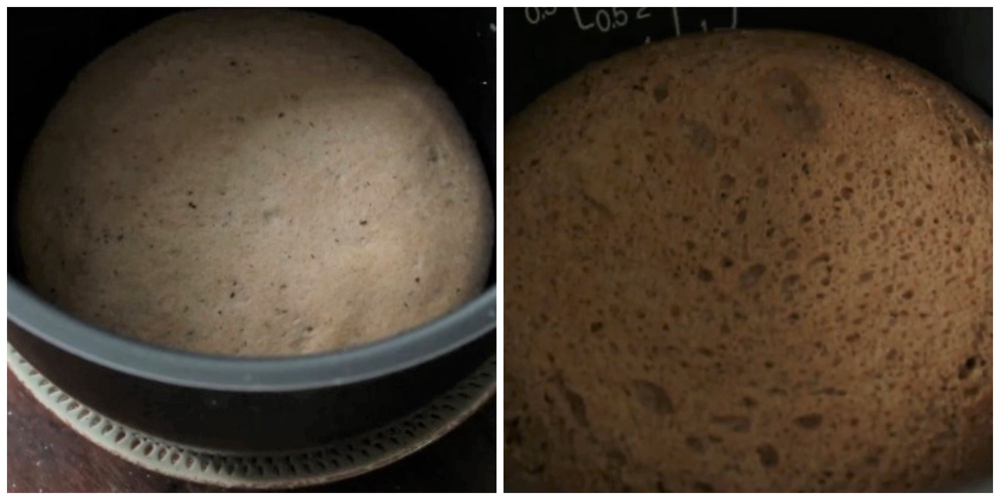 Khi bánh đã nở gần gấp đôi so với lần ủ trước, thì bạn cho vào nồi cơm điện